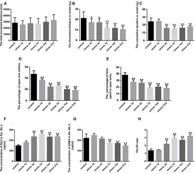 Endoplasmic Reticulum Stress-Mediated Basolateral Amygdala GABAergic Neuron Injury Is Associated With Stress-Induced Mental Disorders in Rats